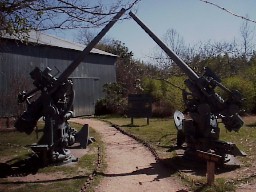 I THINK they are 40mm AA guns